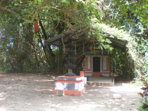 dscn4346.jpg